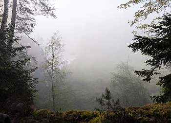 Fog that hides / ***