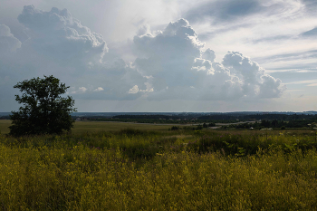 Before the storm / ***