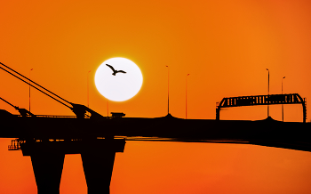 Silhouettes / ***