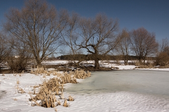 Thaw / ***