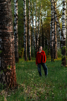 in birch / ***