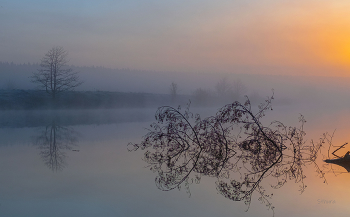 Foggy morning / ***