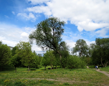 May sky / ***
