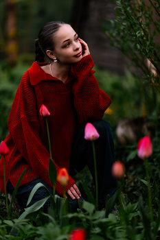 From tulips / ***