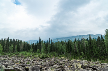 Altai Mountains / ***
