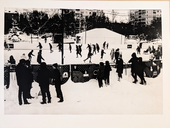 rink / ***