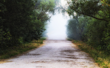 Summer road / ***