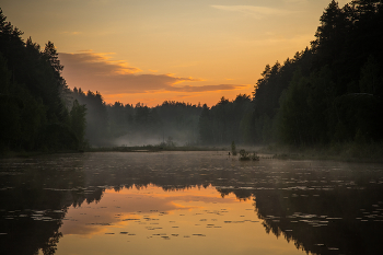 Evening fog / ***