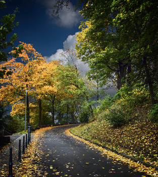 Autumn road / ***