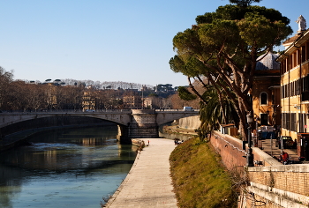 Roma / Roma