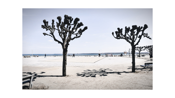 ON THE BEACH / ***