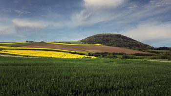 fields / ***
