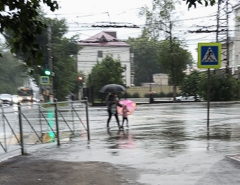 Rain / ***