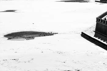 Thaw / ***