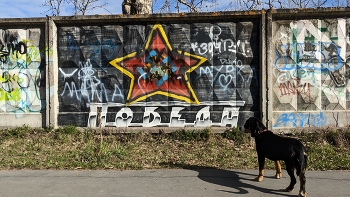 victory Day / ***
