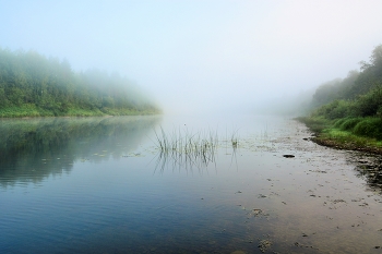 Morning on the river / ***