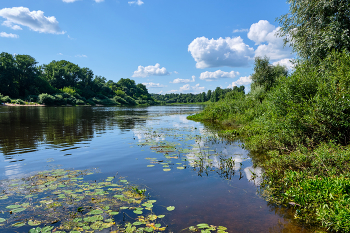 By the river / ***