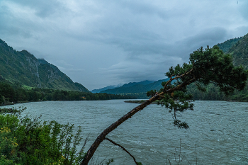 Altai Mountains / ***