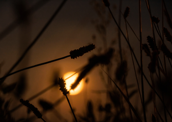 In Der Nacht / ***