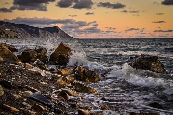 surf / ***