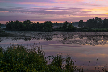 Summer morning. / ***