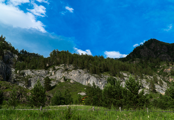 Altai Mountains / ***