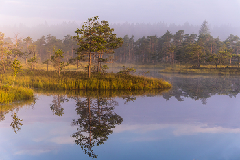 backwater / ***