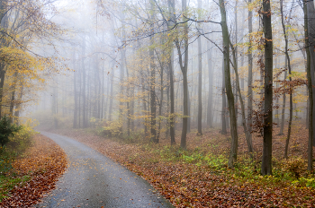 Fog dissipates / ***