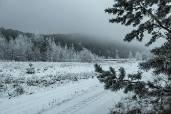 about winter / ***