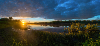 June Dawn / ***