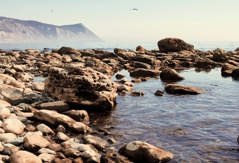 shore / ***
