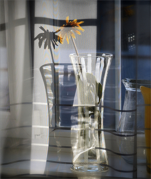 Fenster / ***