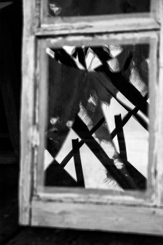 Leben rund um / ***