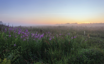 Open spaces / ***