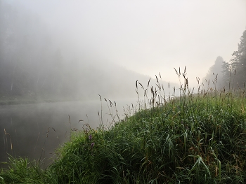 Morning on the river / ***
