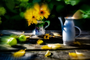&nbsp; / ***