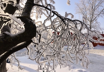 Winter / ***