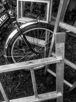 Life around / ***