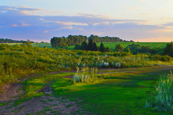 Landscape / ***