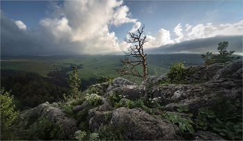 somewhere in the mountains / ***