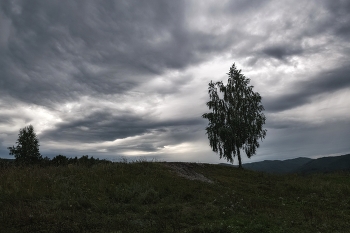 Before the rain / ***