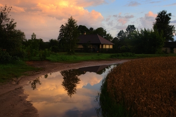 Dusk / ***
