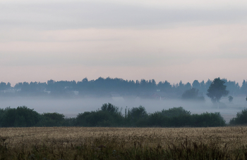 Foggy / ***