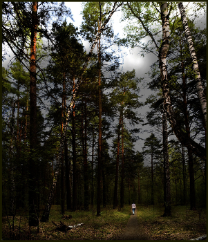 It was getting dark ... / ***
