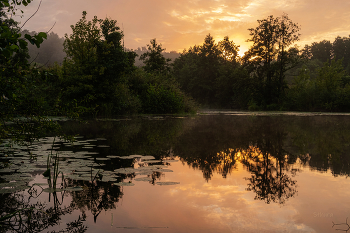 After the rain / ***