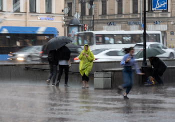 Rain / ***