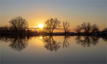 In the silence / ***