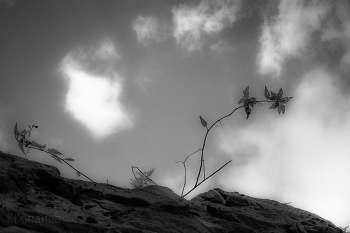 On the stone / ***