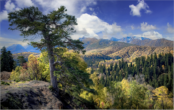 Caucasus / ***