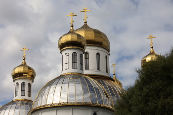 Domes / ***